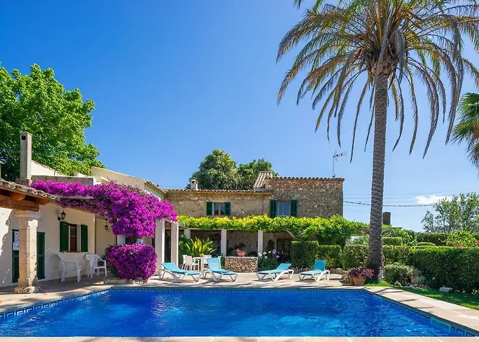 Miquel Hort De'n Bota