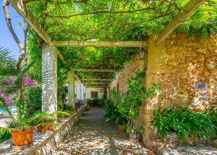 Miquel Hort De'n Bota *