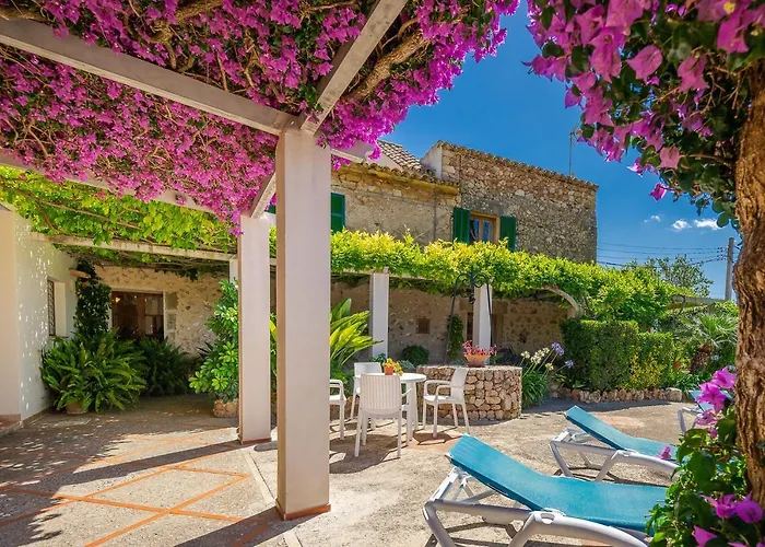 Miquel Hort De'n Bota