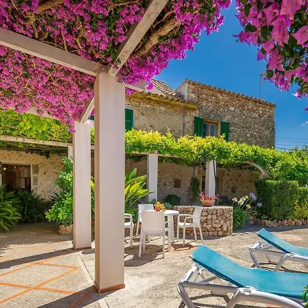 Miquel Hort De'n Bota